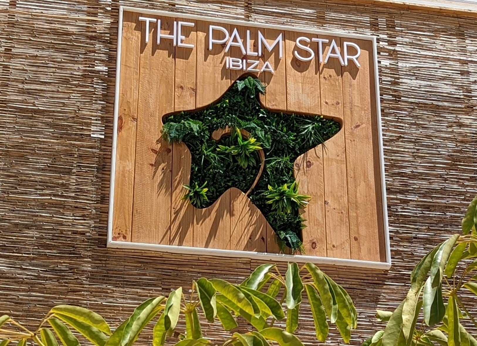 Galeria de imagenes The Palm Star Ibiza